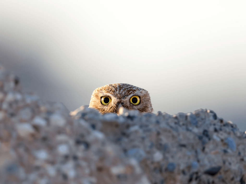 3 Tarikh Keramat Yang Wajib Suami Ingat